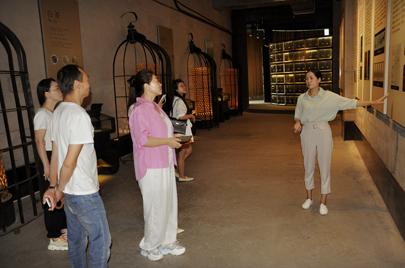 天晟茶学系统培训班‘全面多元化教学’(图7)