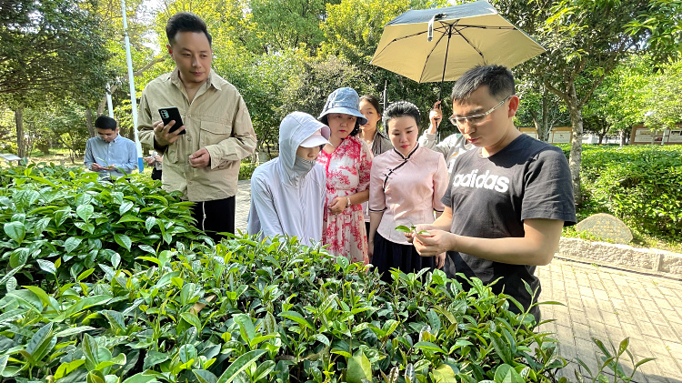 茶圈最大的“谎言”：学茶艺就是为了表演？这家学校火了19年，只因它敢“不卖茶”！(图3)