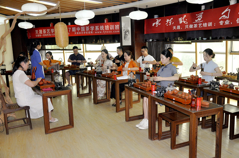 10天闭关,我治好了“茶盲症”:揭秘天晟茶艺的硬核教学