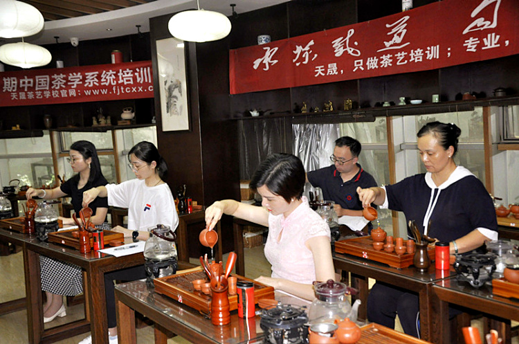 从茶山到茶杯：在天晟，重新定义“学茶”的意义