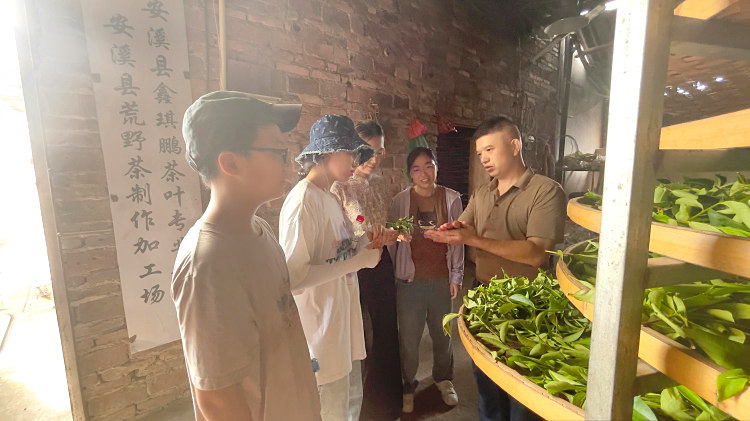 天晟茶艺培训学校：19年专注系统教学，打造茶行业人才“黄埔军校”(图2)