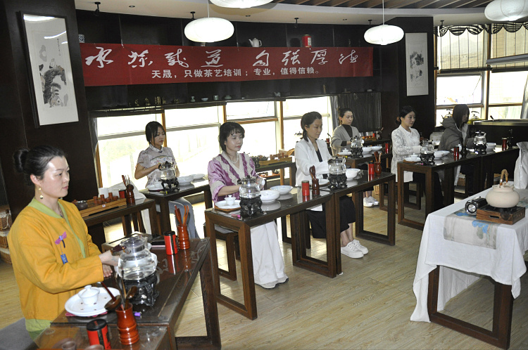 拒绝“表演式”茶艺！天晟10天全日制特训，让学员从茶山读懂一片叶子的灵魂(图2)