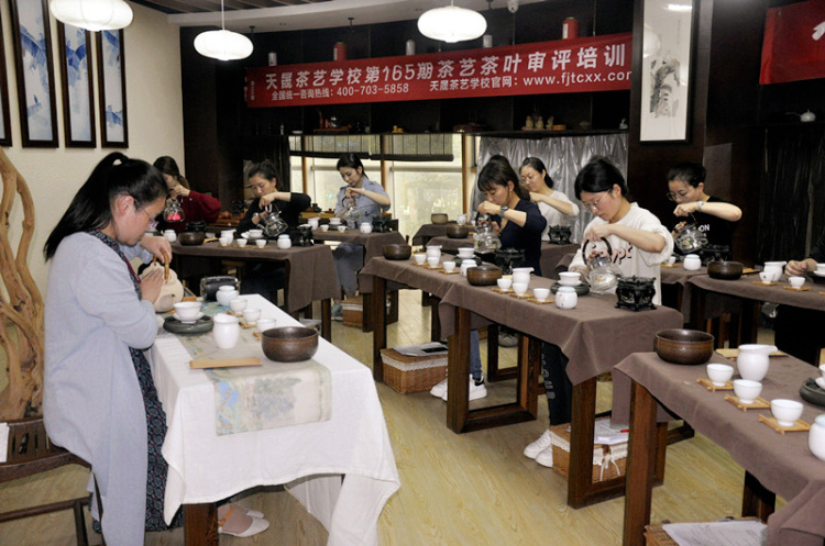 在茶行业干了5年，我还是去了天晟