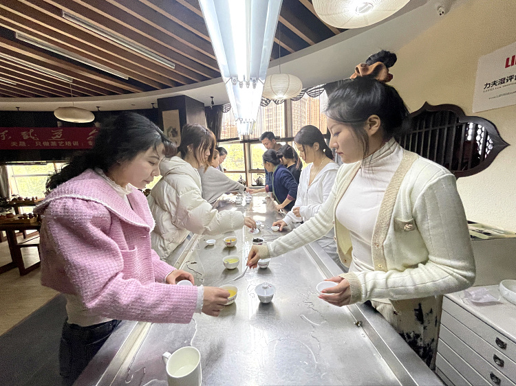 四月十一，赴一场与茶的十年之约(图4)