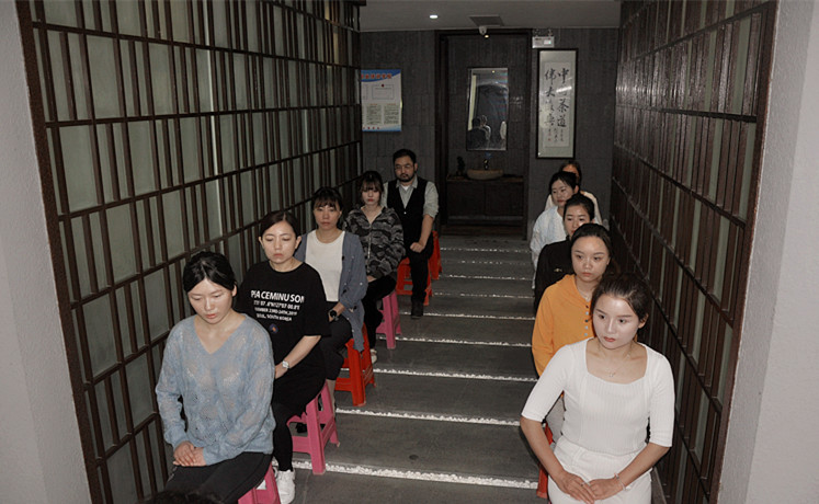  基础阶段：从认识一片叶子开始 