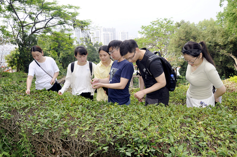 茶艺培训班的收费乱象：几百元买的不是茶艺，是表演  