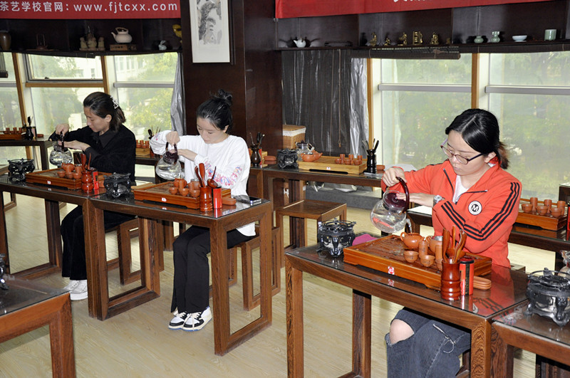 十天重构茶学认知——天晟茶艺培训