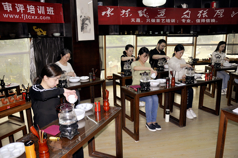  12980元学什么？天晟中国茶学系统培训班的完整拆解  