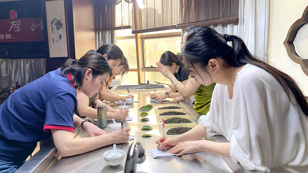 第218期：铁观音香型分类与审评(图2)