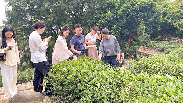 第218期：参观茶叶大观园(图2)