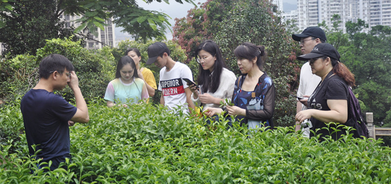 第220期天晟中国茶学系统培训班2026年6月10日正式上课（图）(图11)