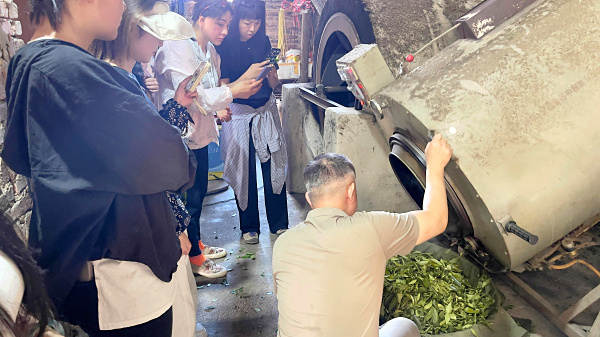 第219期:实践体验安溪乌龙茶制作(图3) 第219期:实践体验安溪乌龙茶制作(图3)