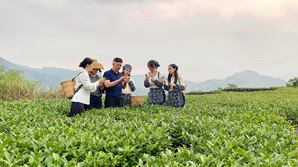 学茶艺，参加茶艺师培训，我只选天晟茶学系统培训班(图4)