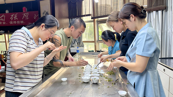 第220期：绿茶的加工与审评、绿茶实践审评(图3)