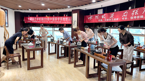 第223期：安溪茶艺之茶具展示学习(图2)