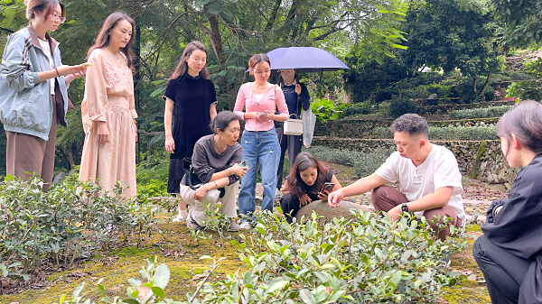 第223期：参观茶叶大观园(图2)