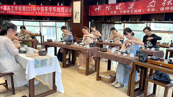 第223期：干泡之行茶十式茶艺流水训练复习(图2)